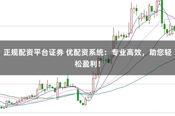 正规配资平台证券 优配资系统：专业高效，助您轻松盈利！